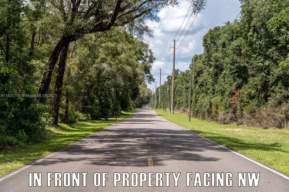 FANNIN FOREST - Land