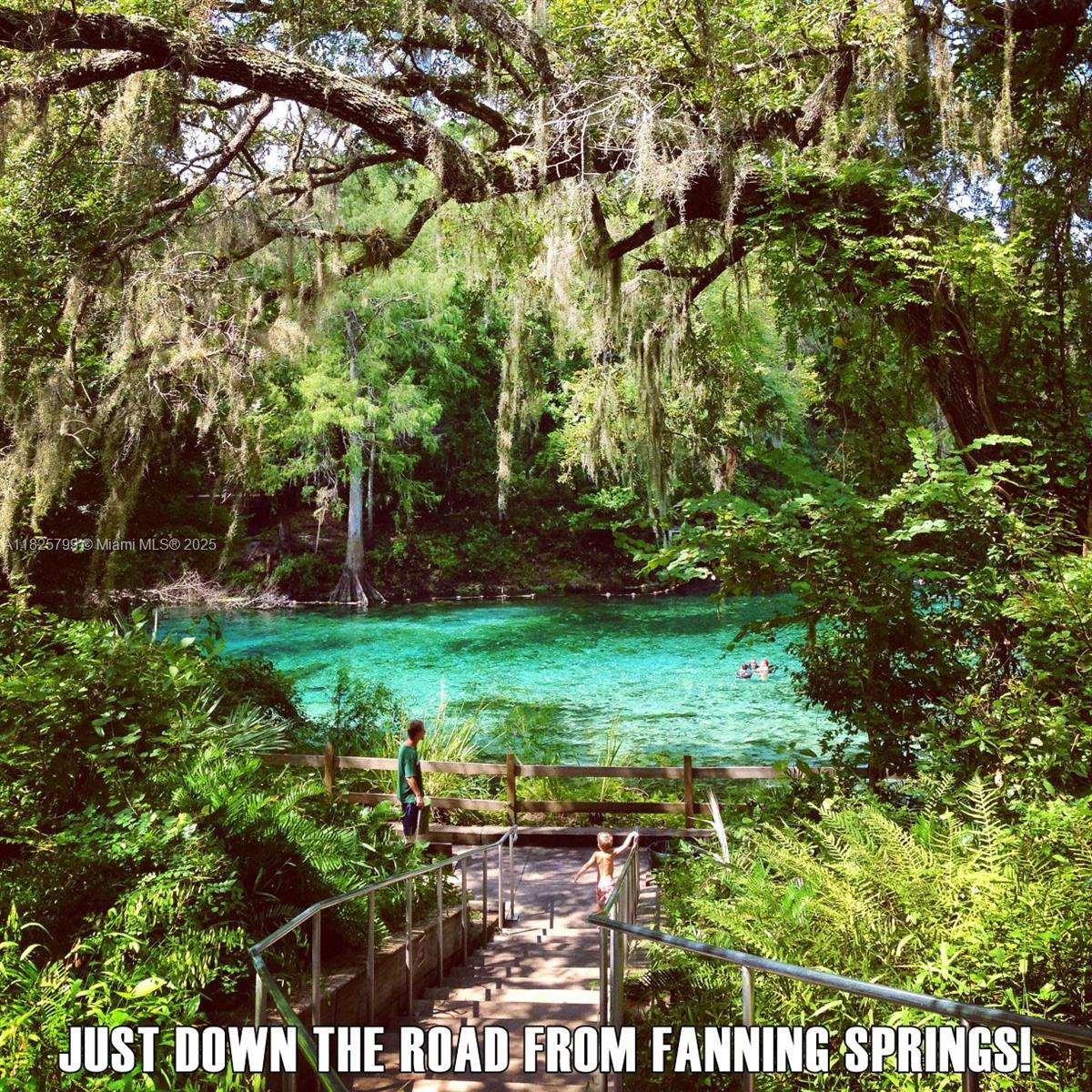 FANNIN FOREST - Land