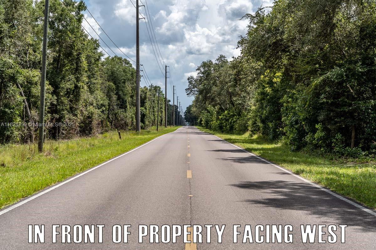 FANNIN FOREST - Land