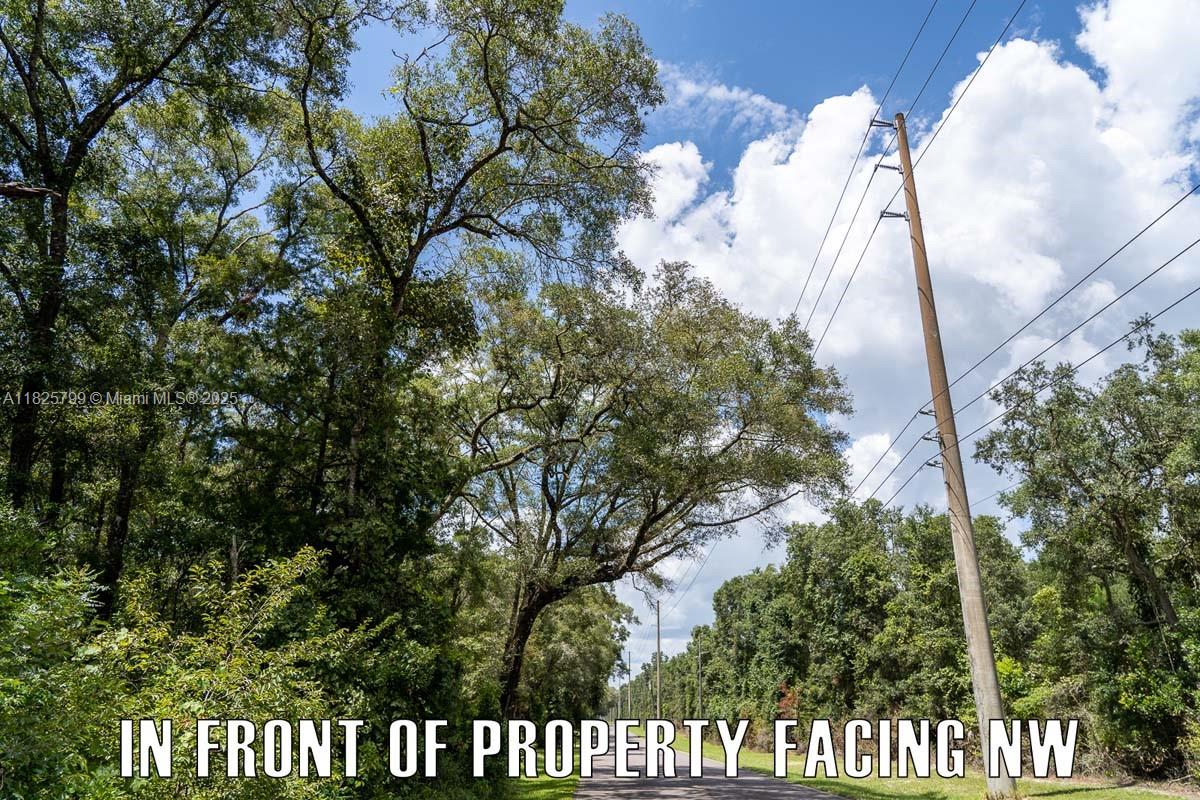 FANNIN FOREST - Land