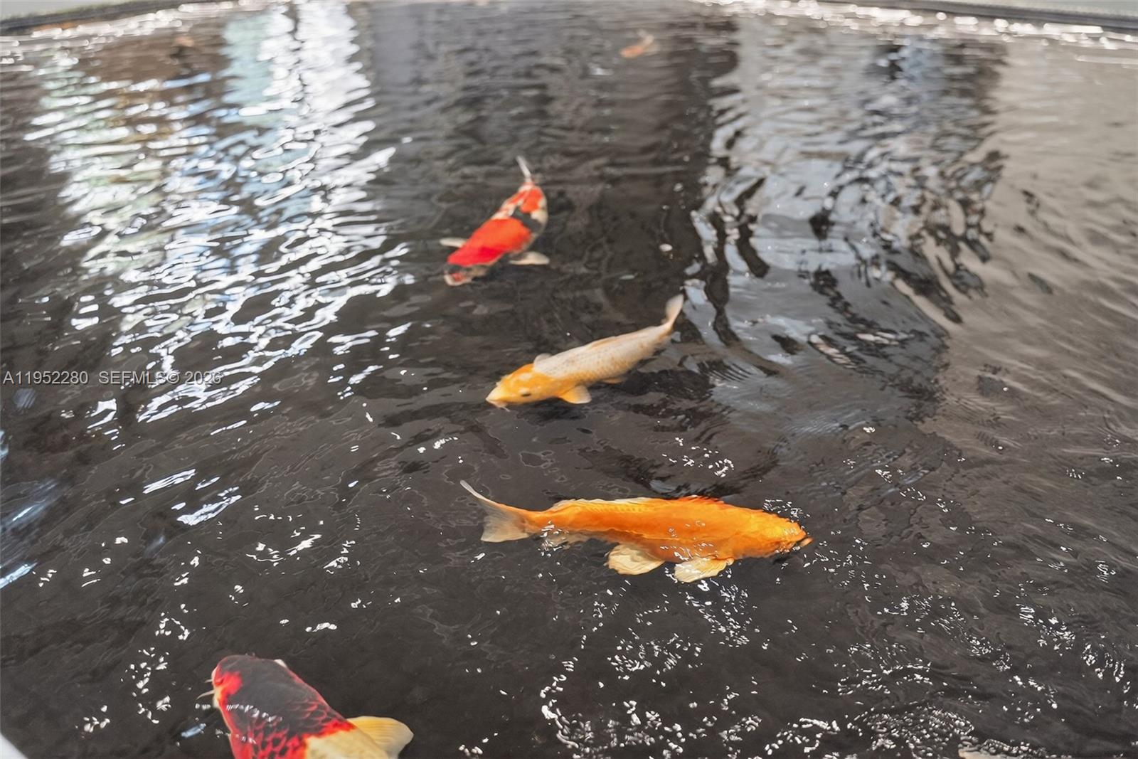 LAS OLAS RIVER HOUSE COND - Residential