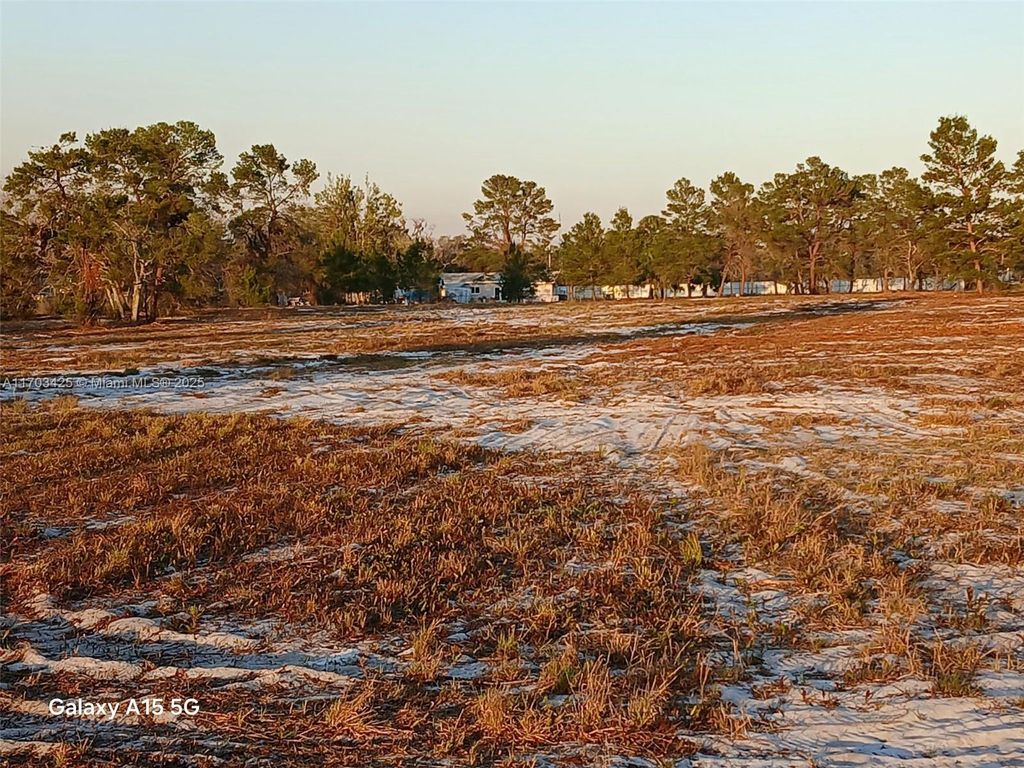 listing image 36