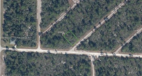 3543 VENETIA Lake Placid FL 33852