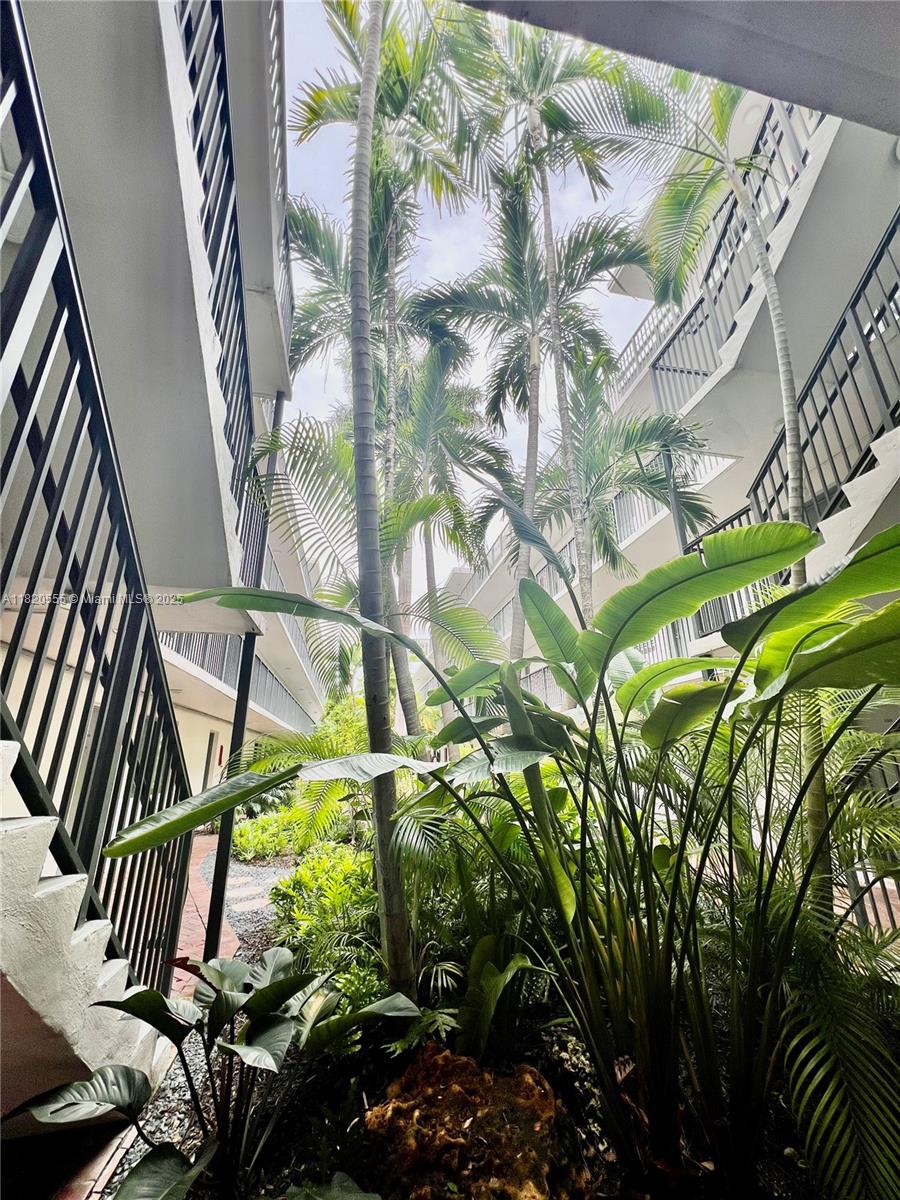 3240 Mary St S207