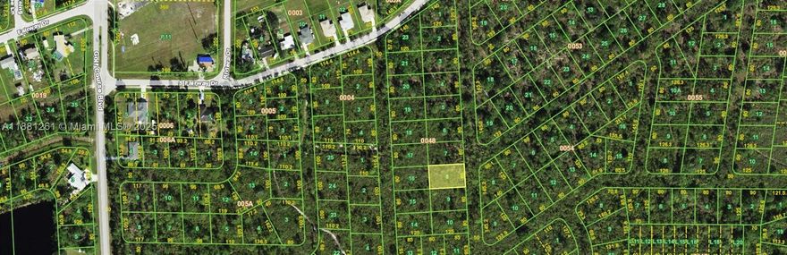 OWNER FINANCING!!! 1,000 DOWN 429.19 PER MONTH FOR 36 MONTHS AT 7% INTEREST. VERY RARE !!! ZONED FOR COMMERCIAL OR RESIDENTIAL BUILDING. ADJACENT LOTS AVAILBLE!!! Power is 1 block away. Downtown Punta Gorda is an old Florida town with a new town feeling due to the rejuvenation. Enjoy great restaurants and fun shops. Close to Punta Gorda Airport, shopping, biking trails and parks. Easy access to I75.