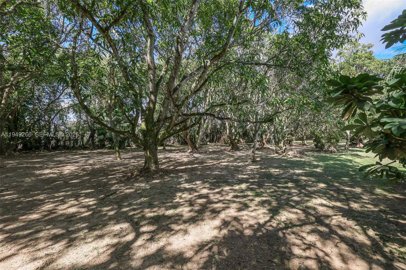 Redland SFH 5 acres - Residential