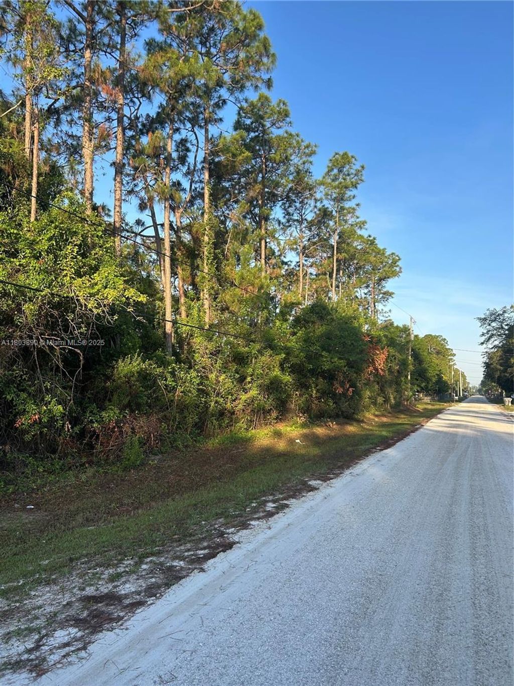 Photo of 17354 75th Pl N, Loxahatchee, FL 33470 (MLS # A11803890)