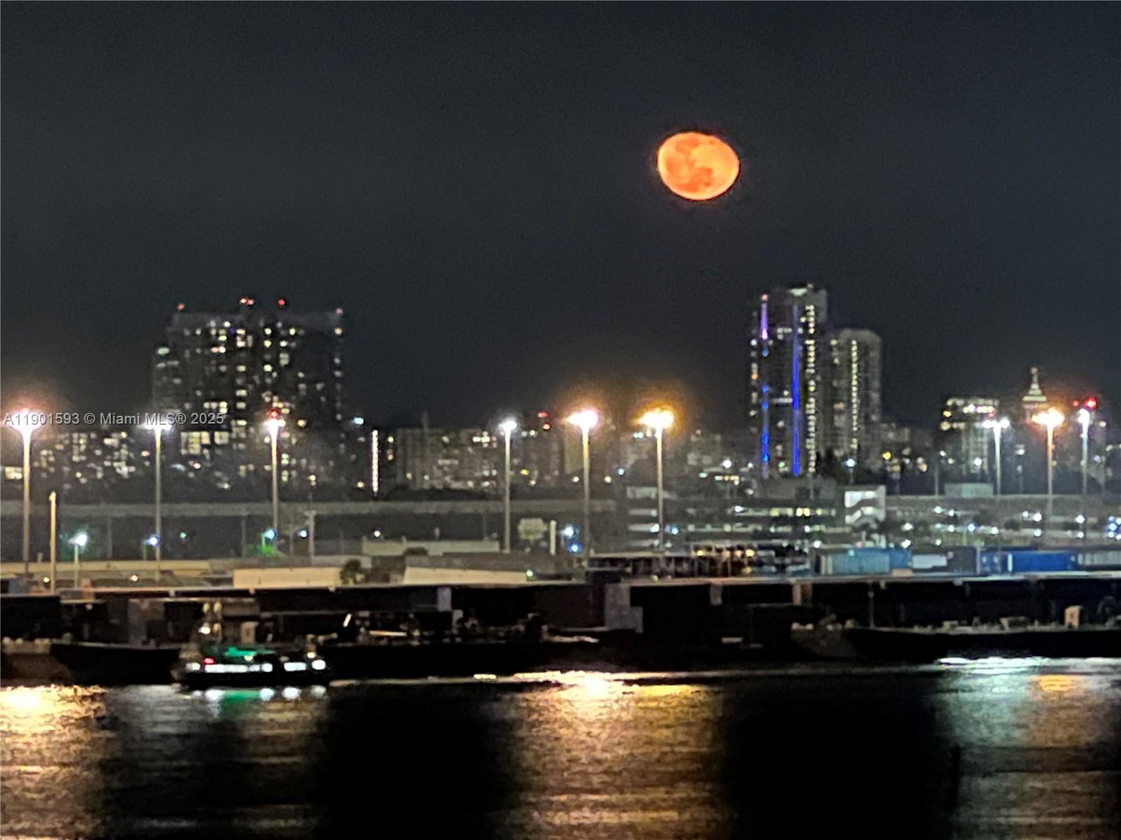 BRICKELL KEY ONE CONDO - Residential
