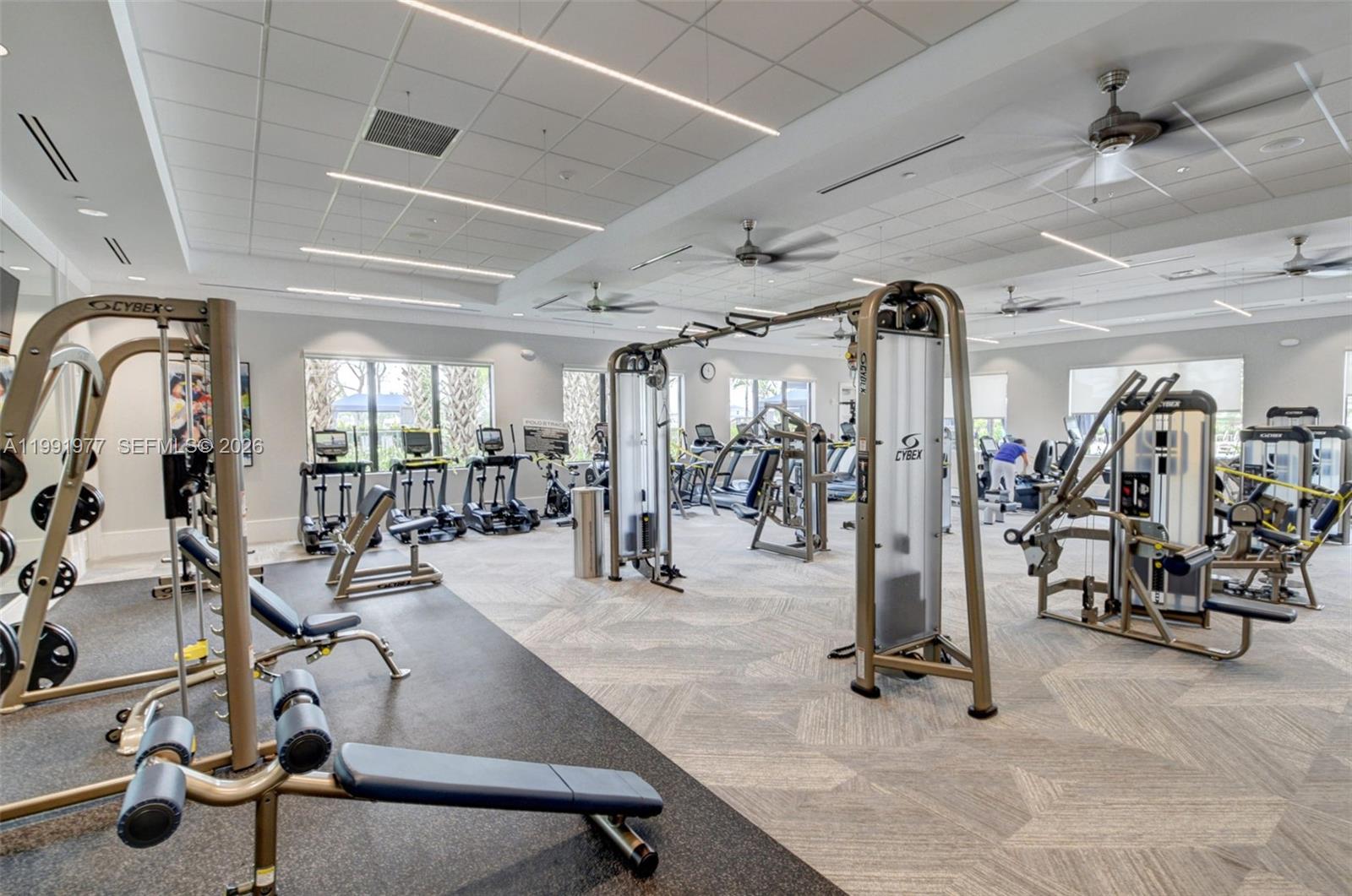 POLO TRACE 2 3 - Residential