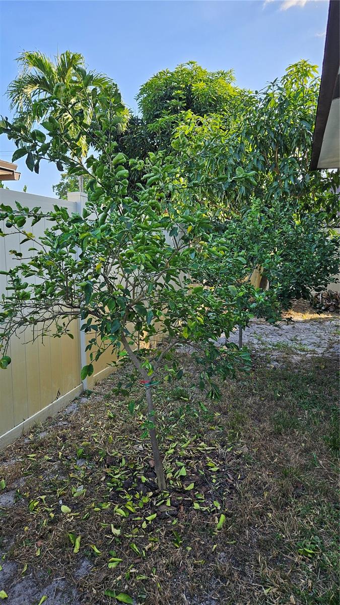 ARROWHEAD GOLF & TENNIS C - Residential Lease