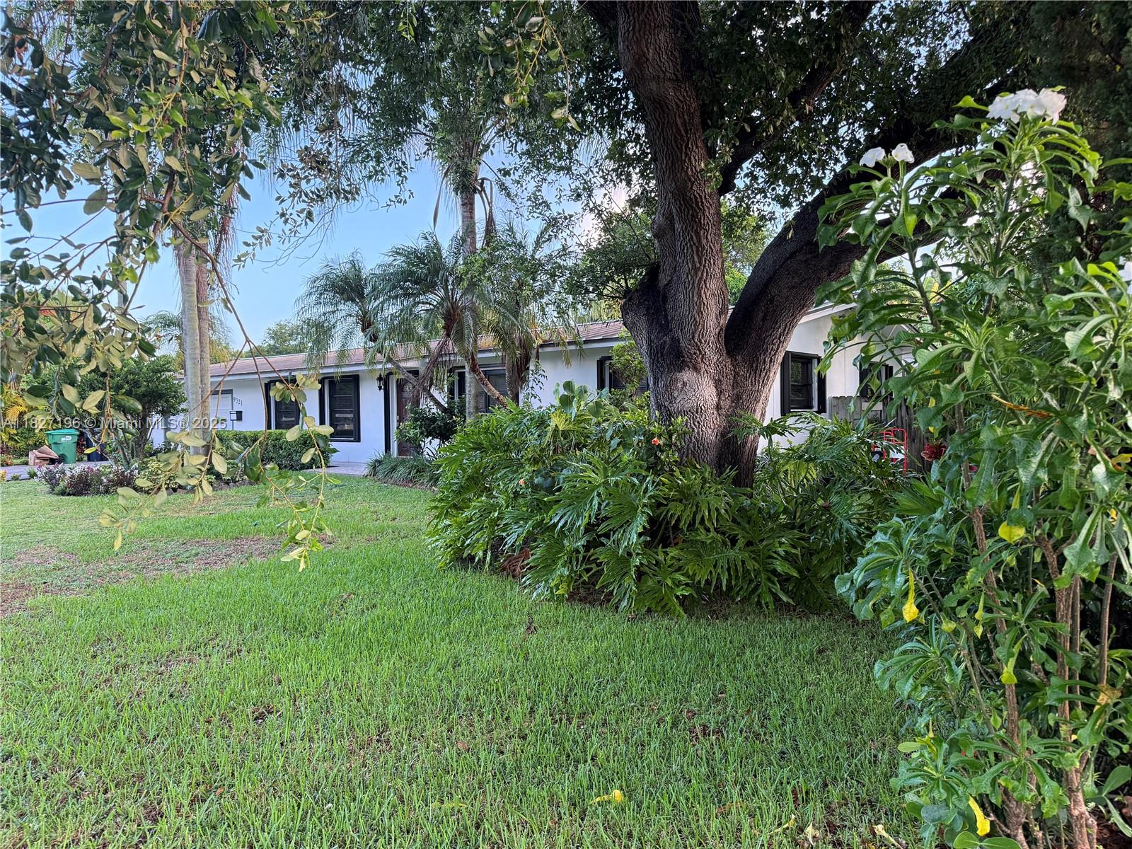 Looking for your dream home in Palmetto Bay? Check out this 3-bedroom, 2-bath gem next to Palmetto Bay Park! It's perfect for entertaining, with a fantastic layout and a huge screened patio. Imagine endless fun by the pool, soaking up the South Florida sun. Plus, it boasts a metal roof and a lush, safe yard with beautiful flowers and fruit trees. Don't miss the virtual tour! All offers must be on FAR-BAR AS-IS, including the Seller's Disclosure.
