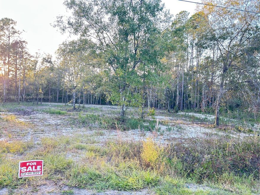 Discover your own private piece of Florida at this 1.13-acre residential lot in Flagler Estates. This high-and-dry parcel has already been cleared, giving you a head start toward building your dream home, placing a mobile/manufactured home, or creating a peaceful rural retreat. Surrounded by mature trees and natural Florida vegetation, this property offers the perfect balance of privacy, open space, and natural beauty.Located on a quiet road with easy access to Hastings, Palatka, Palm Coast, and St. Augustine, this land provides exceptional flexibility—no HOA, no CDD, and no strict building restrictions. Bring your RV, boats, toys, and enjoy wide-open living. Power is nearby, and the area allows well and septic. This is a fantastic opportunity at an accessible price point.