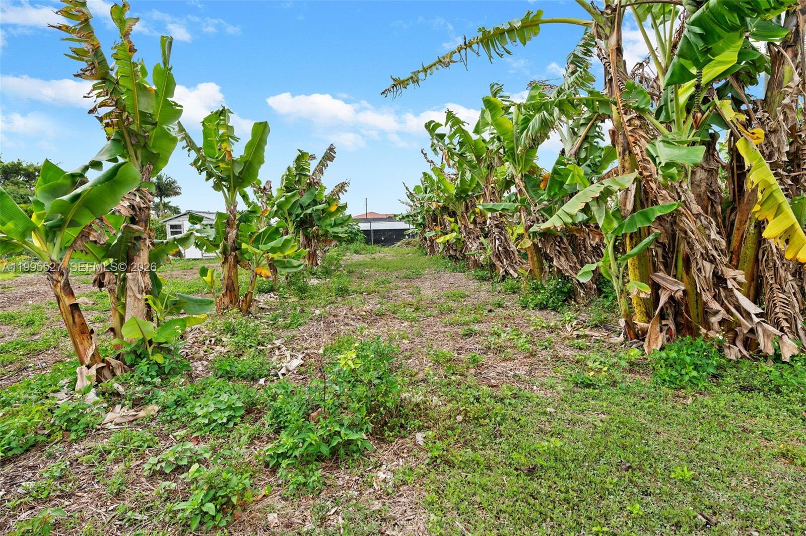 Redlands - Residential