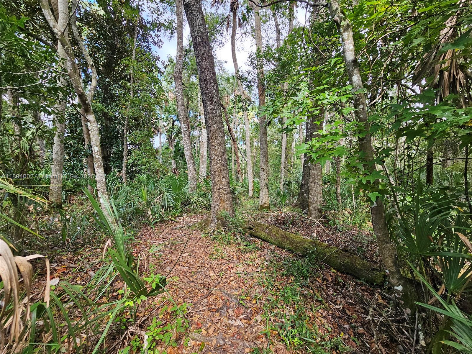 RIVER COUNTRY ESTATES - Residential