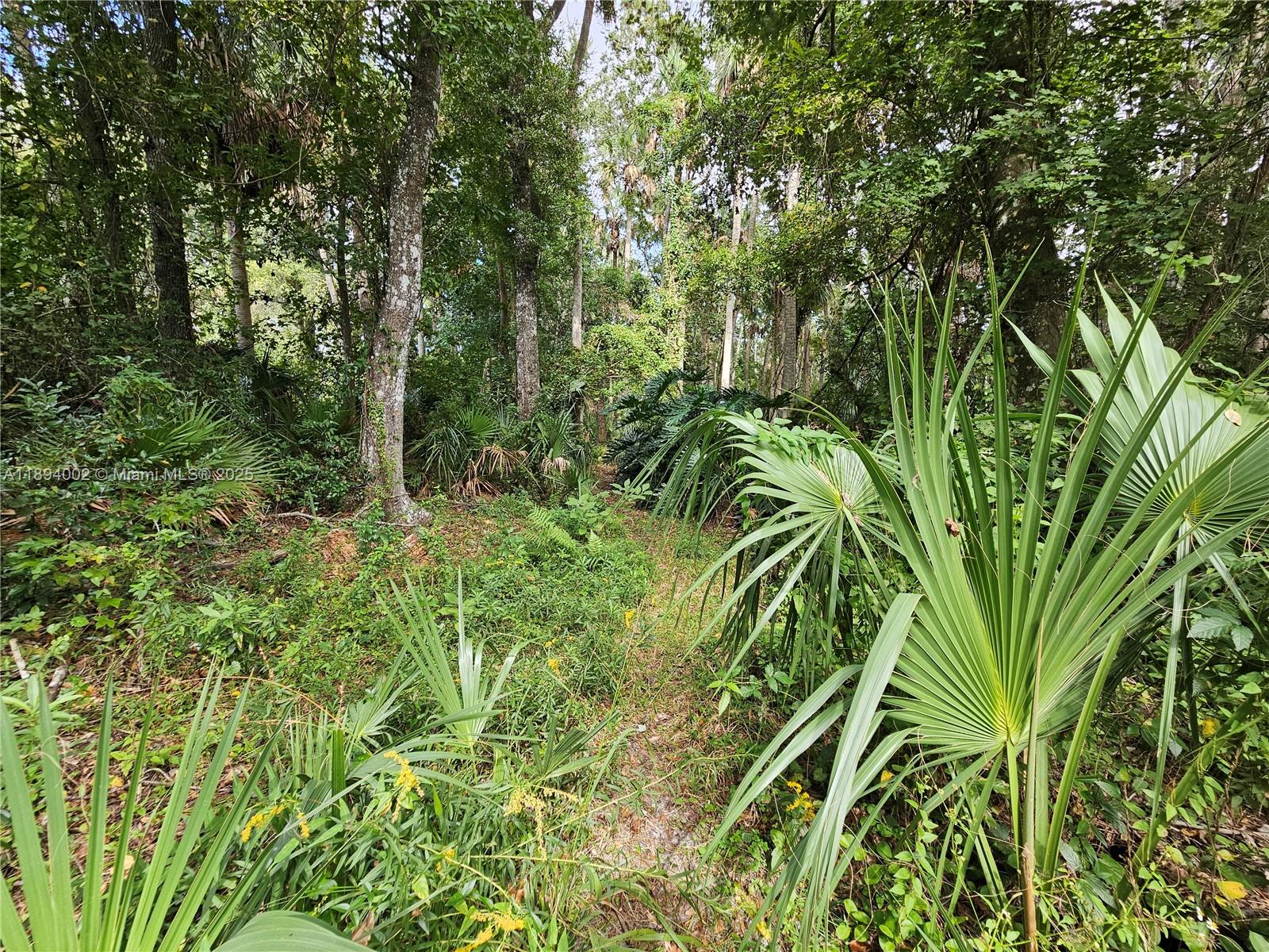 RIVER COUNTRY ESTATES - Residential