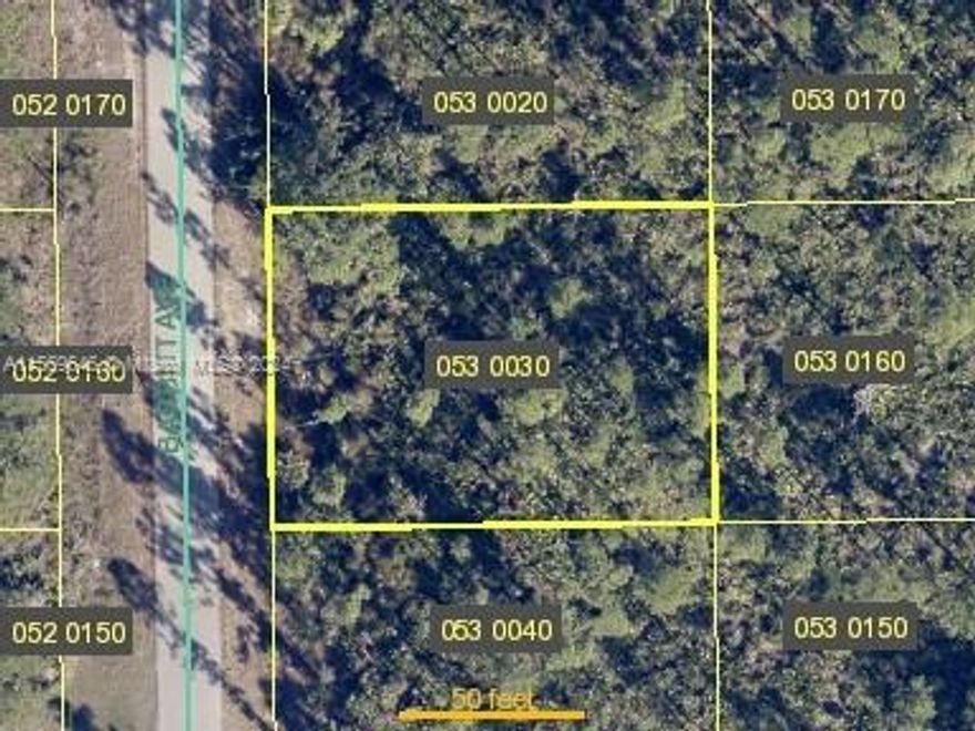 Vacant lot RS-1 is Zoned single-family, multifamily, and commercial. Peaceful living in the growing area of Lehigh Acres! Build your dream home or invest for the future, prices on the rise. Close to shopping and I-75.