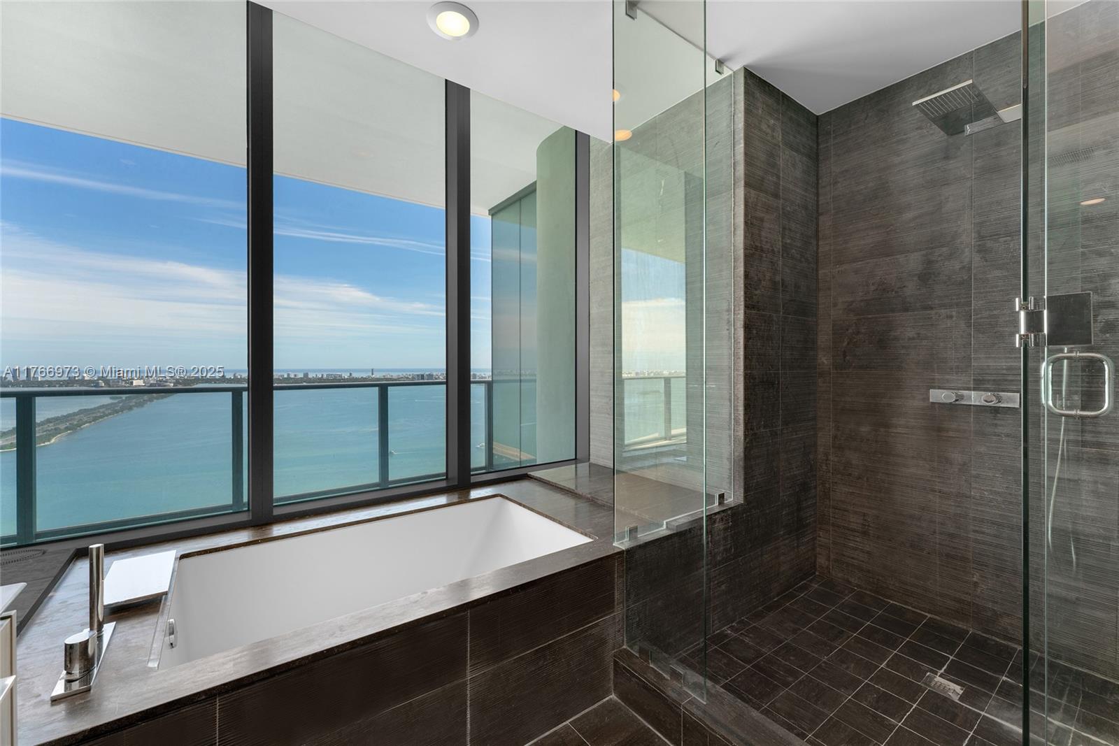 ONE PARAISO CONDO - Residential