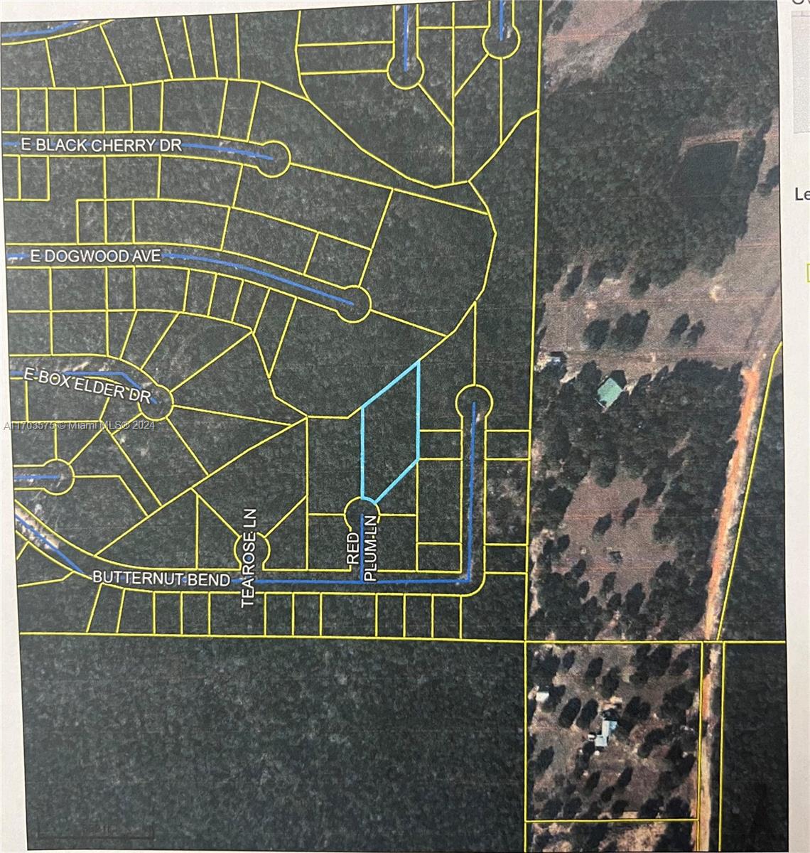 Wood lot in Defuniak Springs, Florida. No HOA. Modular Homes are allowed. There are no existing utilities. Well/Power/Septic required. You will be approximately 30-50 minutes to most workplaces and the beautiful white sandy beaches of Florida's famous Emerald Gulf Coast and Crab Island. The buyer must verify building codes, zoning, regulations, wetlands, etc., with the proper local authorities to ensure the buyer can utilize the property for the intended use.