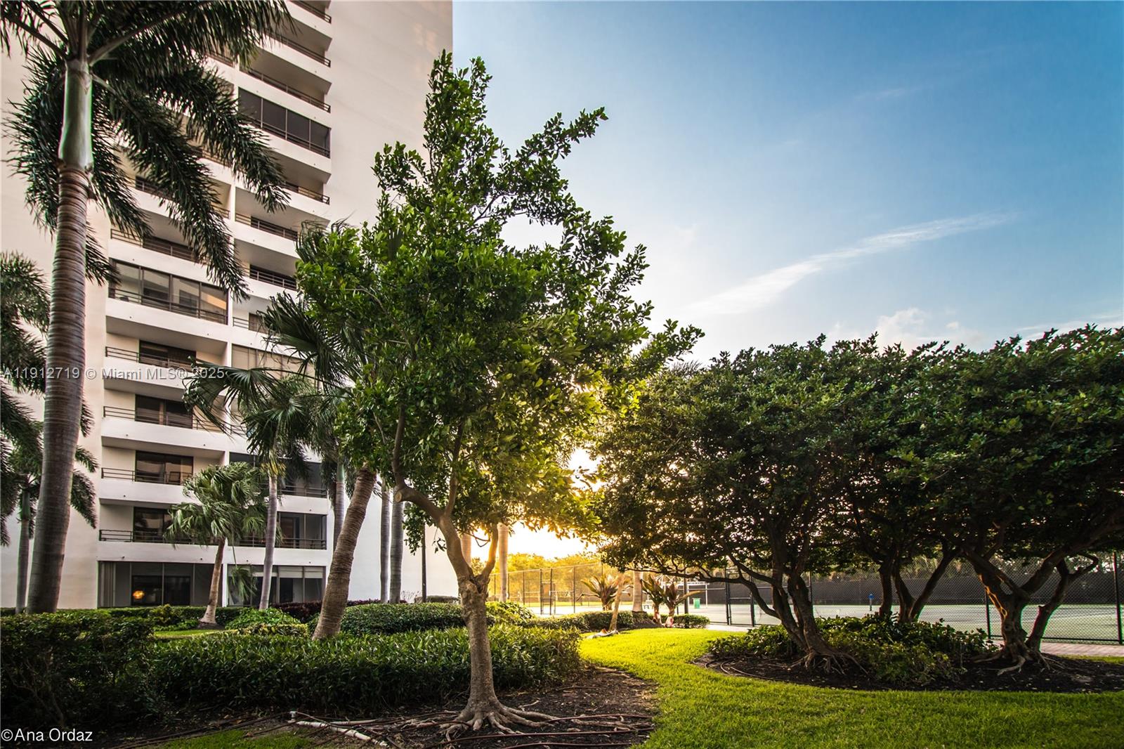 OLYMPUS CONDO - Residential