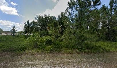 Discover the perfect opportunity to build your dream home or invest in one of Southwest Florida’s fastest-growing communities! This spacious 0.5-acre lot on a quiet residential street offers peaceful surroundings and plenty of room for a custom home, pool, or garden oasis. Conveniently located near schools, shopping, and easy access to SR-82, this property combines tranquility with accessibility. Whether you’re a builder, investor, or future homeowner, this is a fantastic piece of land to secure your future in Lehigh Acres!