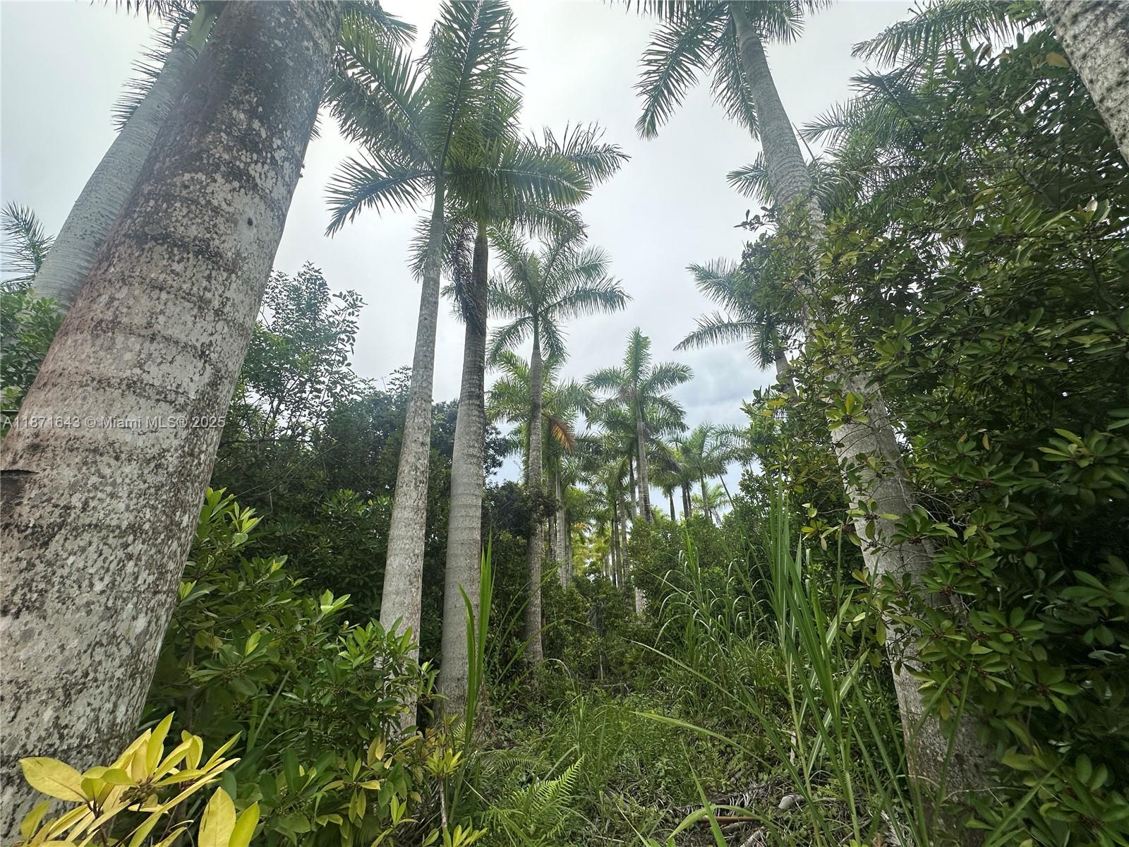 MIAMI LAND & DEVELOPMENT - Land