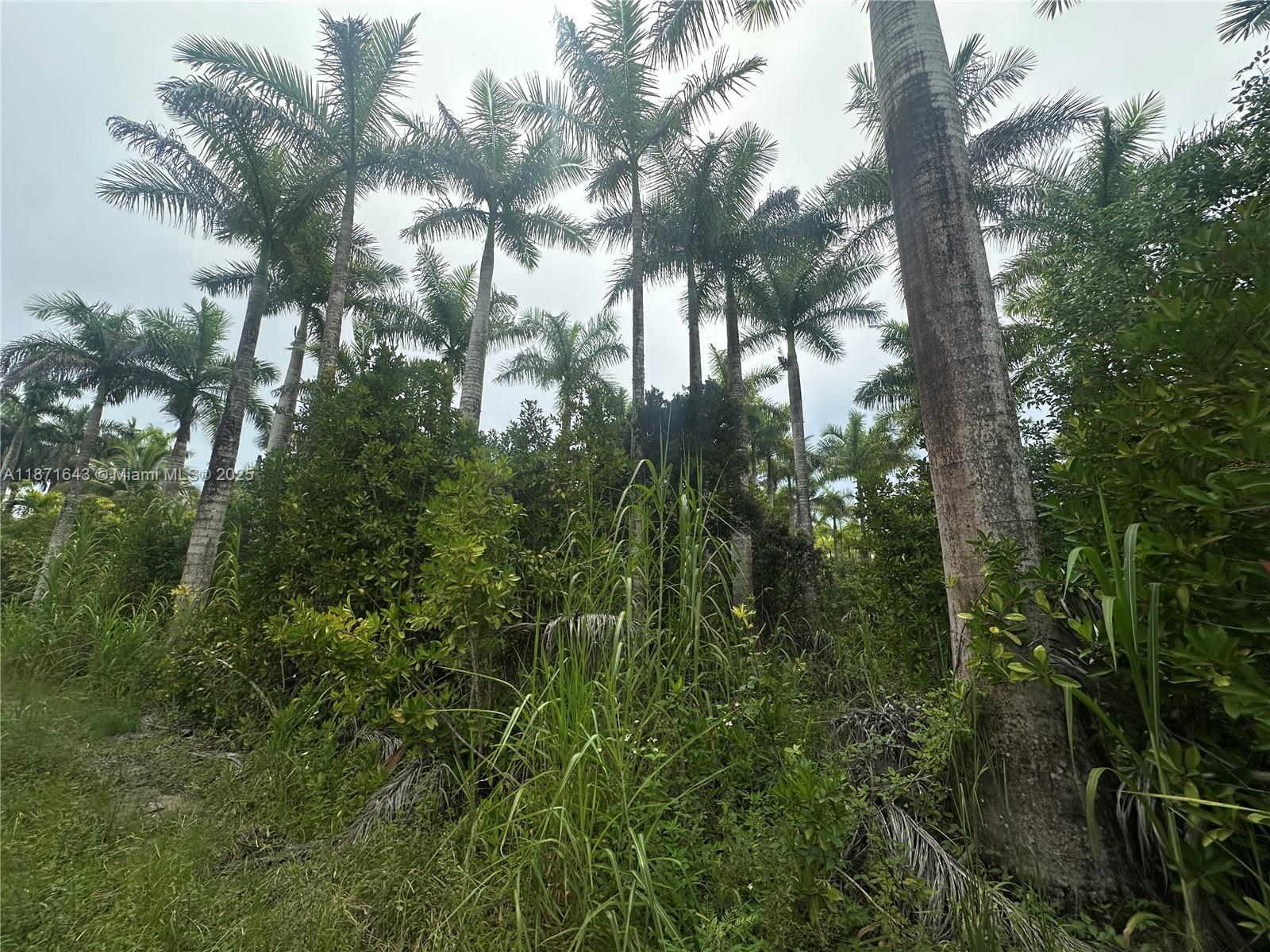 MIAMI LAND & DEVELOPMENT - Land