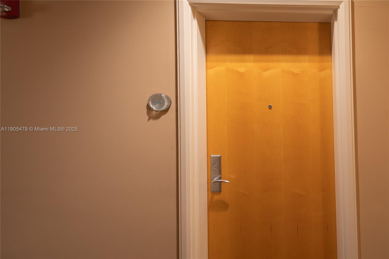 VIZCAYNE SOUTH CONDO - Residential