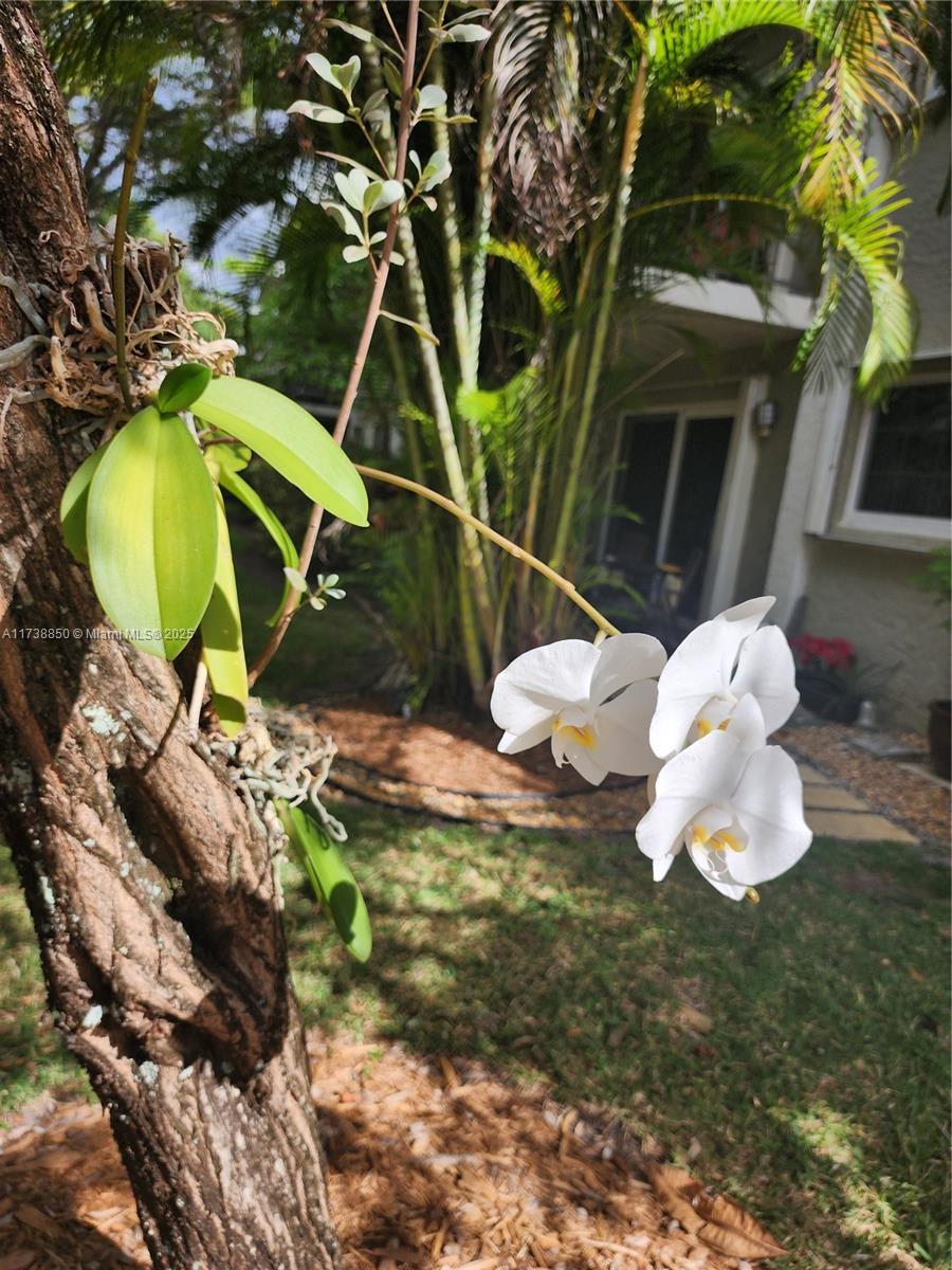 RIVER MANOR CONDO - Residential