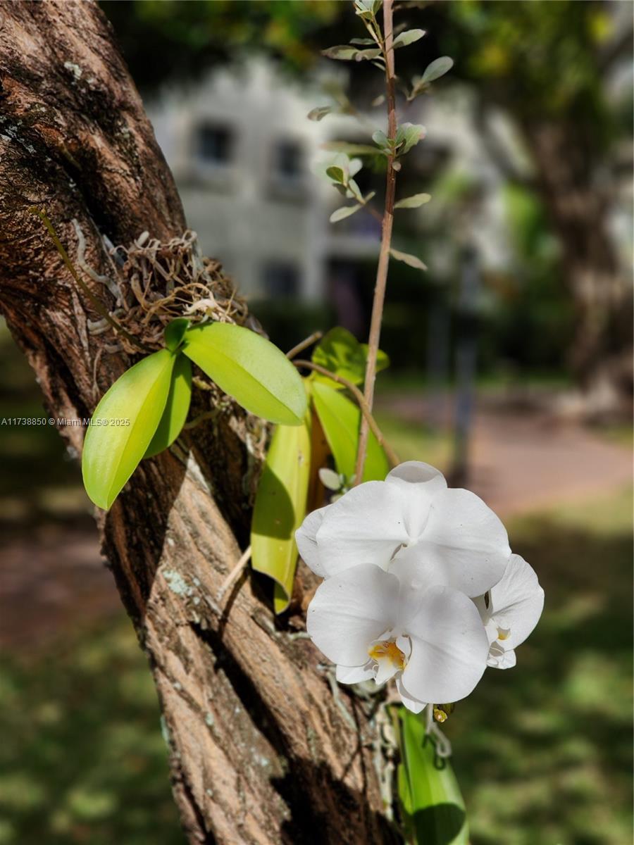 RIVER MANOR CONDO - Residential