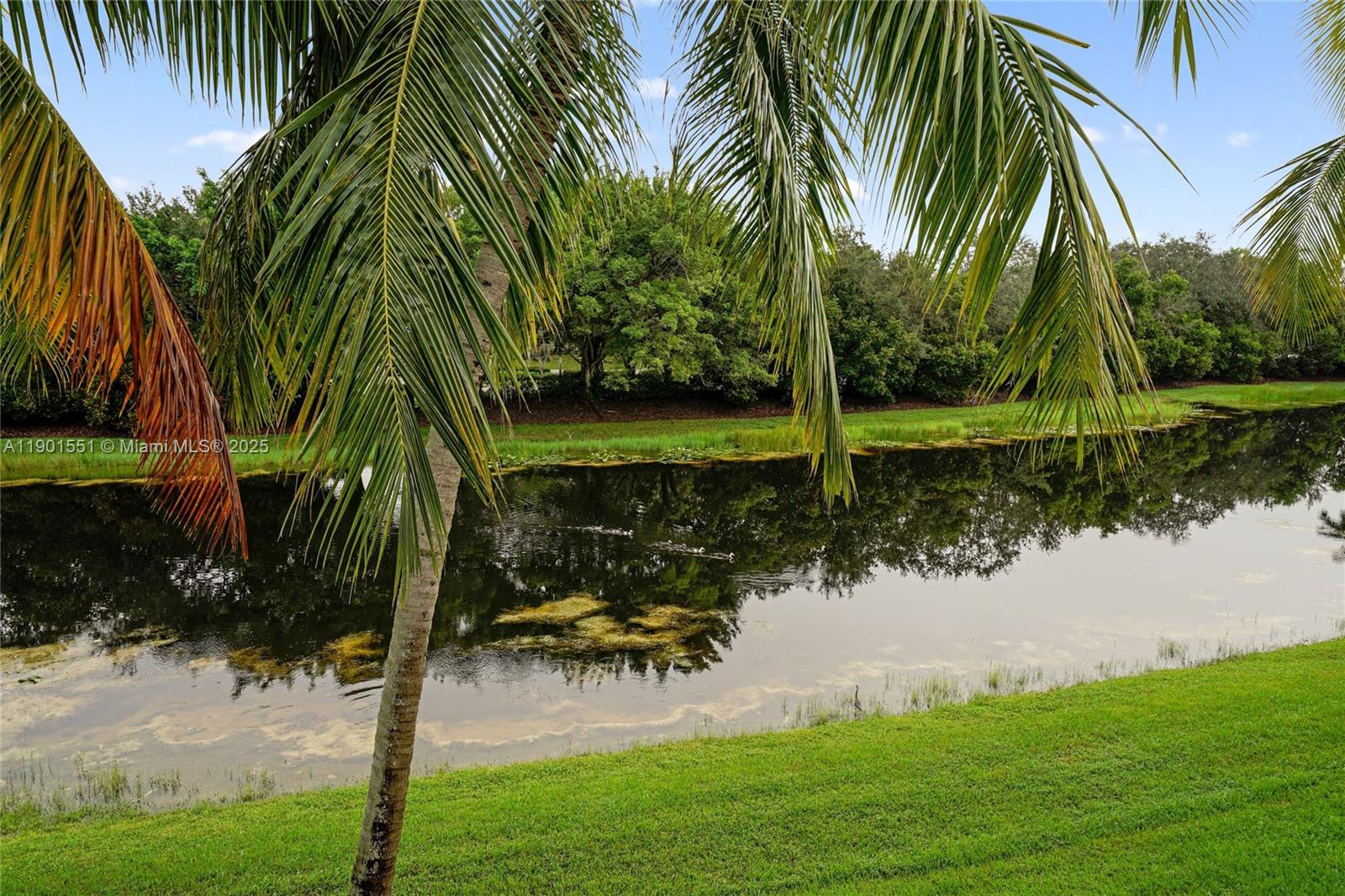 San Mateo - Residential Lease