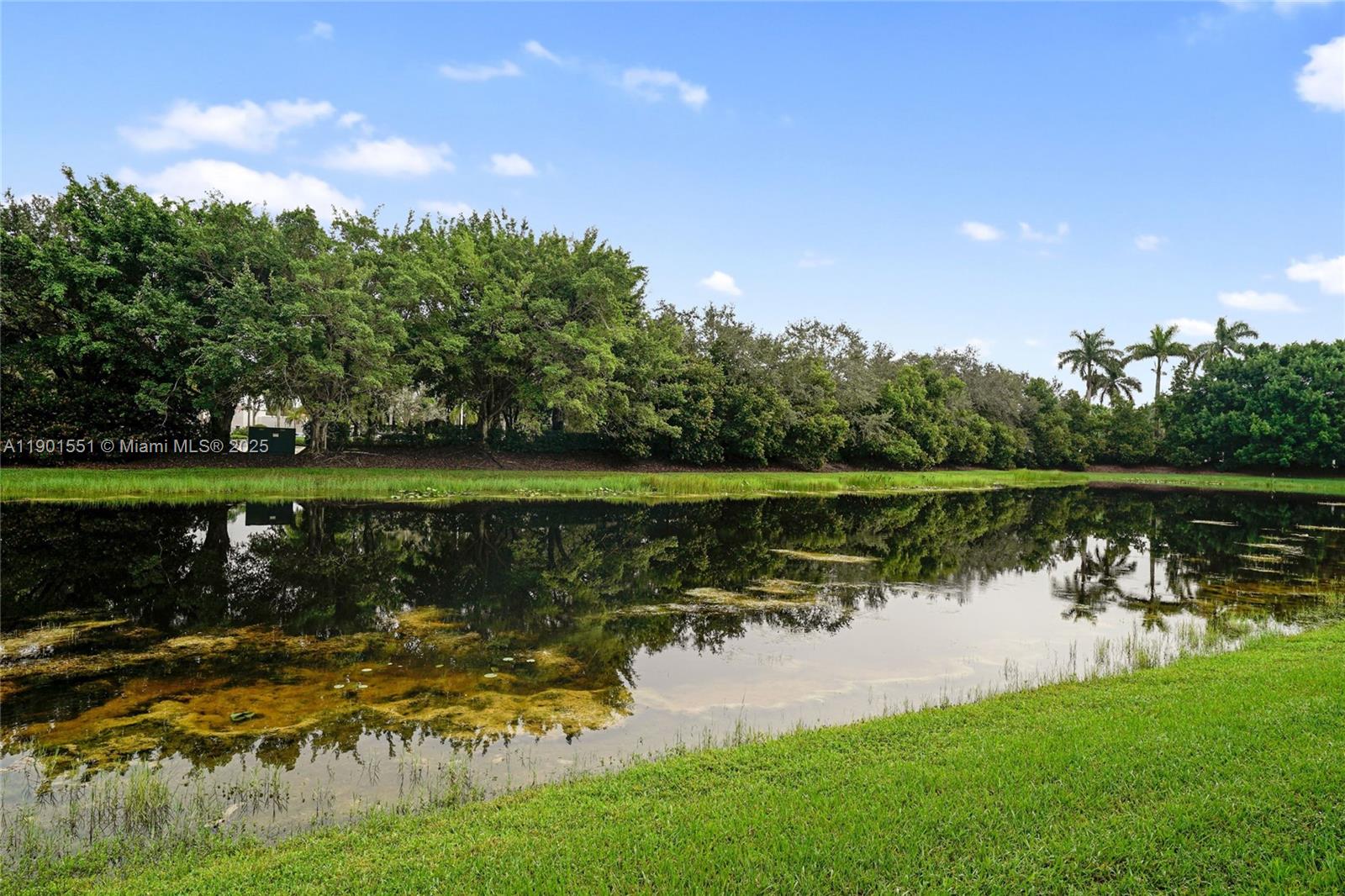 San Mateo - Residential Lease