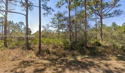 Great corner lot ready to clear and build your dream home. In the amidst of nature's beauty in Leisure Lakes,
this property is near downtown of lake Placid, parks and schools within three miles radius.