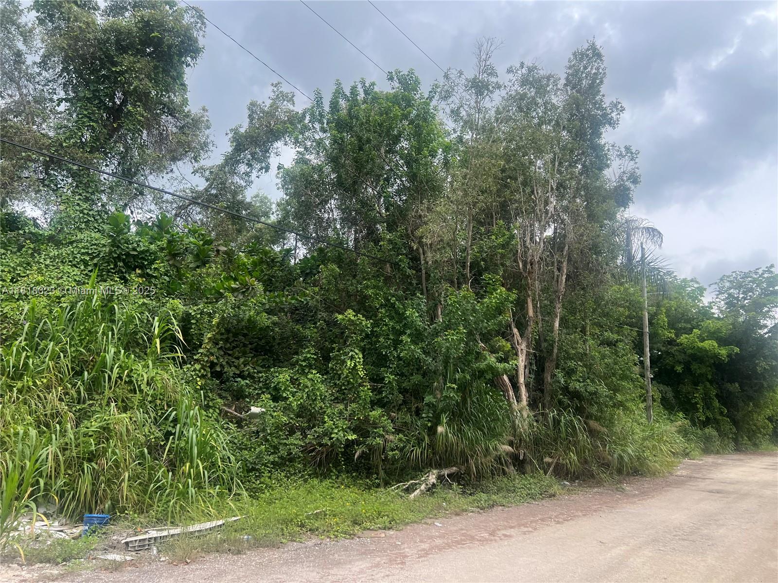 TATUM BROTHERS R E & INV - Land