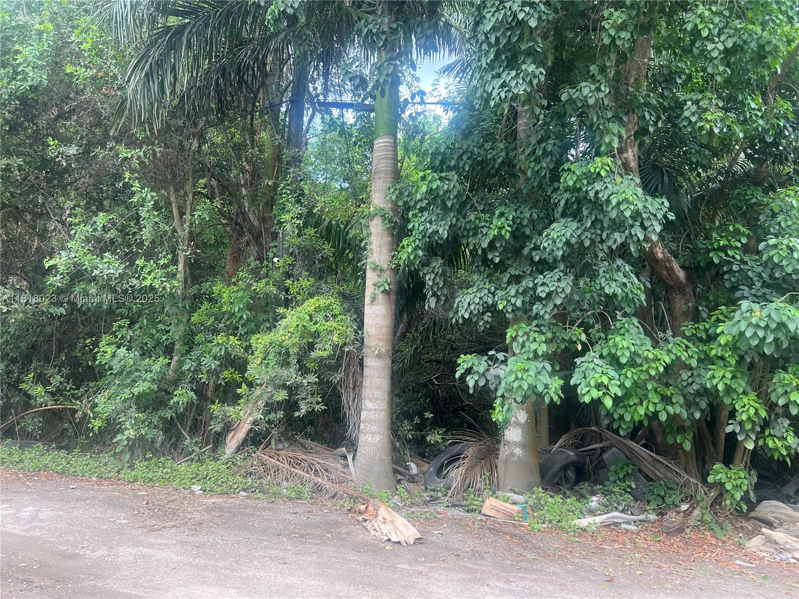 TATUM BROTHERS R E & INV - Land