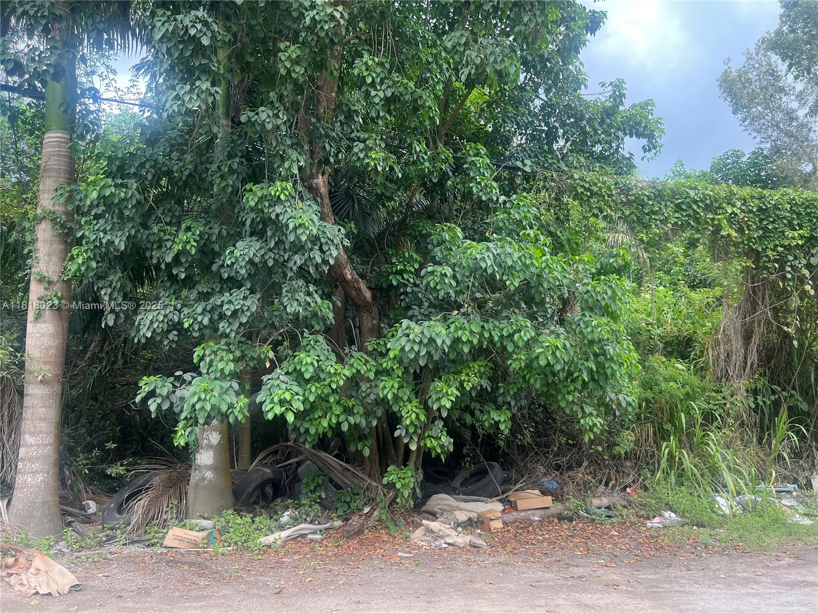 TATUM BROTHERS R E & INV - Land