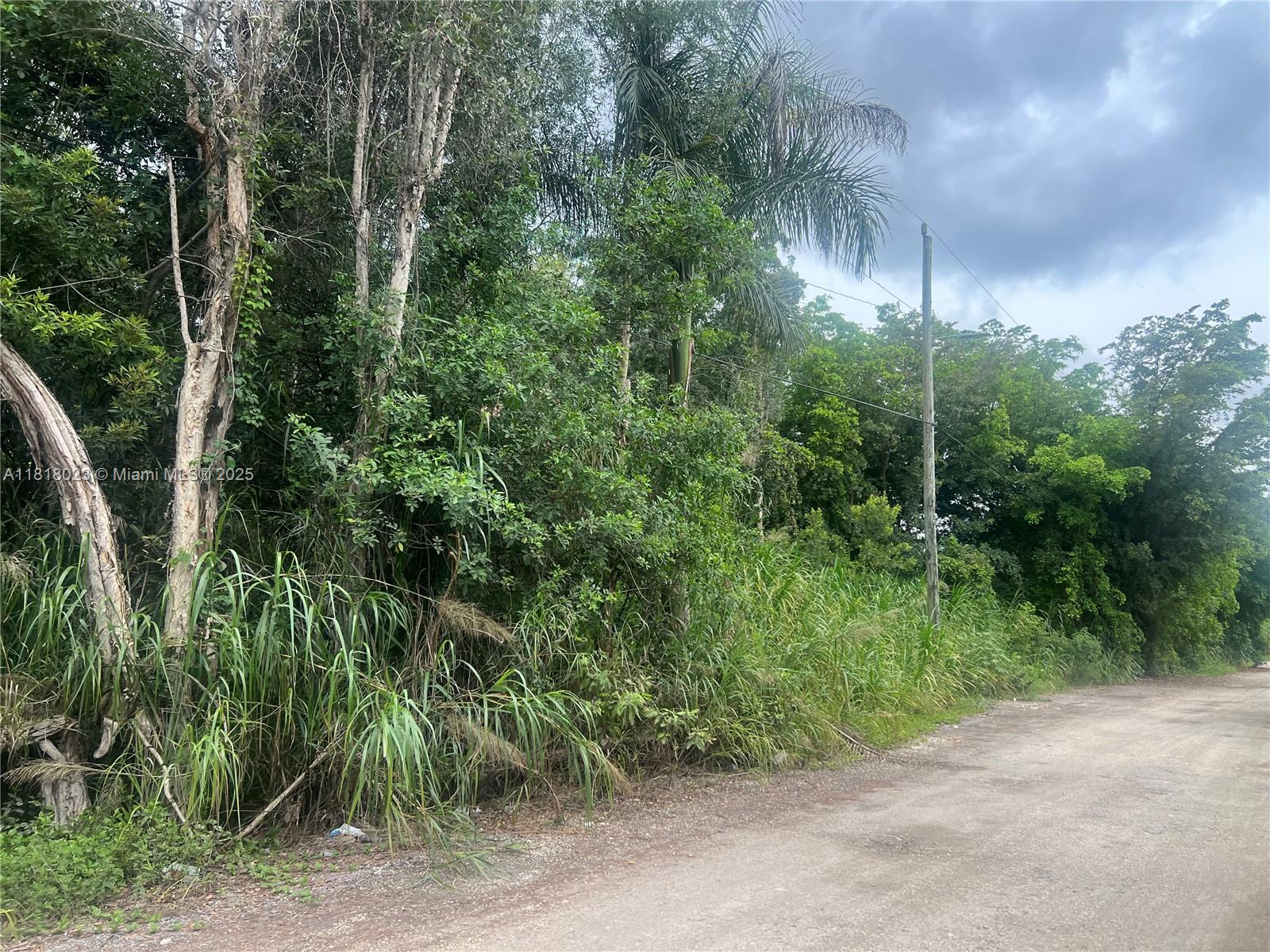 TATUM BROTHERS R E & INV - Land