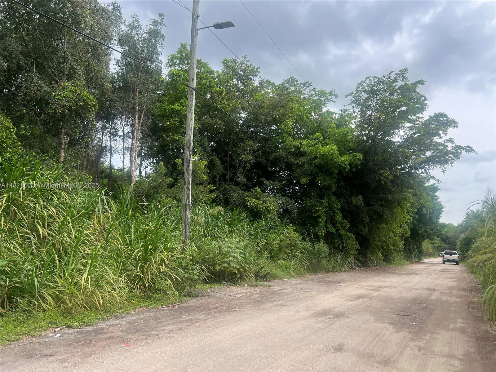 TATUM BROTHERS R E & INV - Land