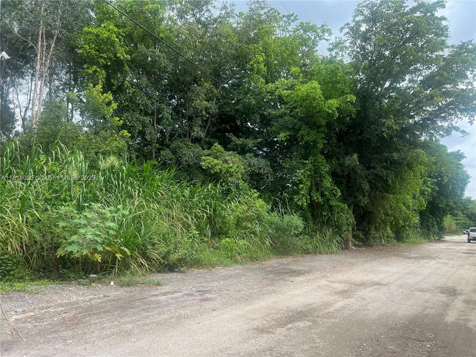 TATUM BROTHERS R E & INV - Land