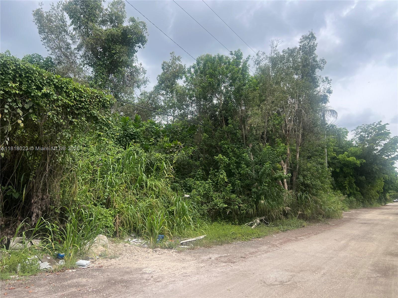 TATUM BROTHERS R E & INV - Land