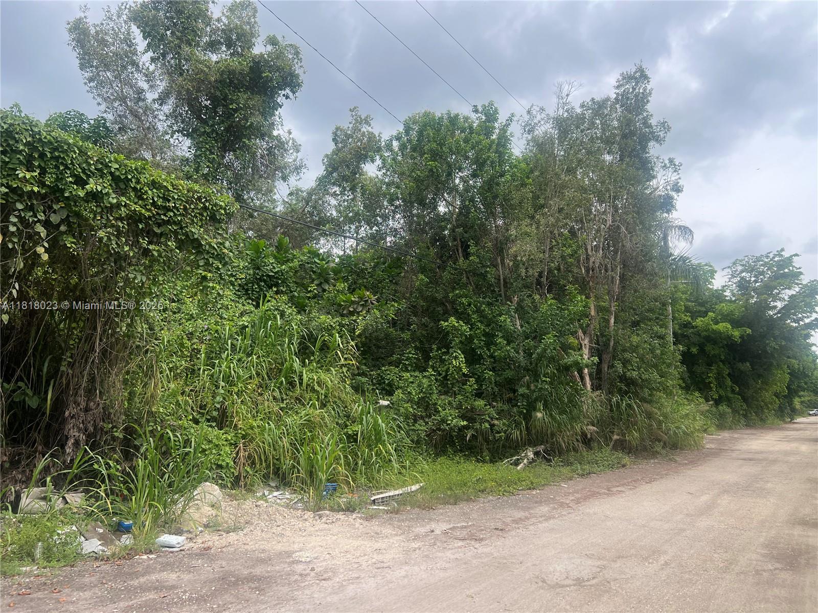 TATUM BROTHERS R E & INV - Land