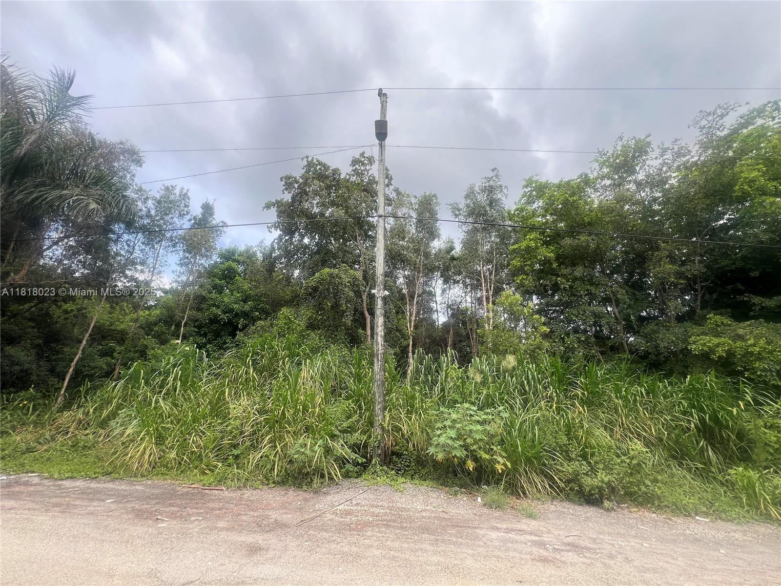 TATUM BROTHERS R E & INV - Land