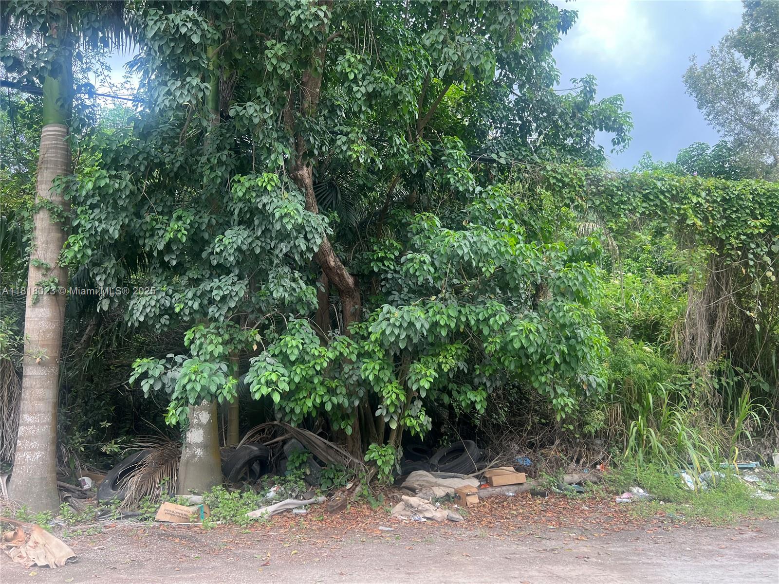 TATUM BROTHERS R E & INV - Land