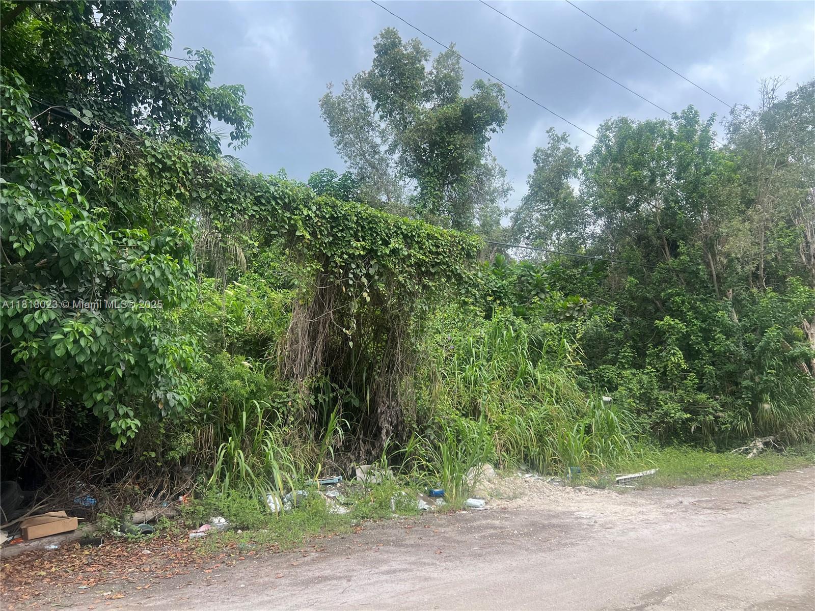 TATUM BROTHERS R E & INV - Land