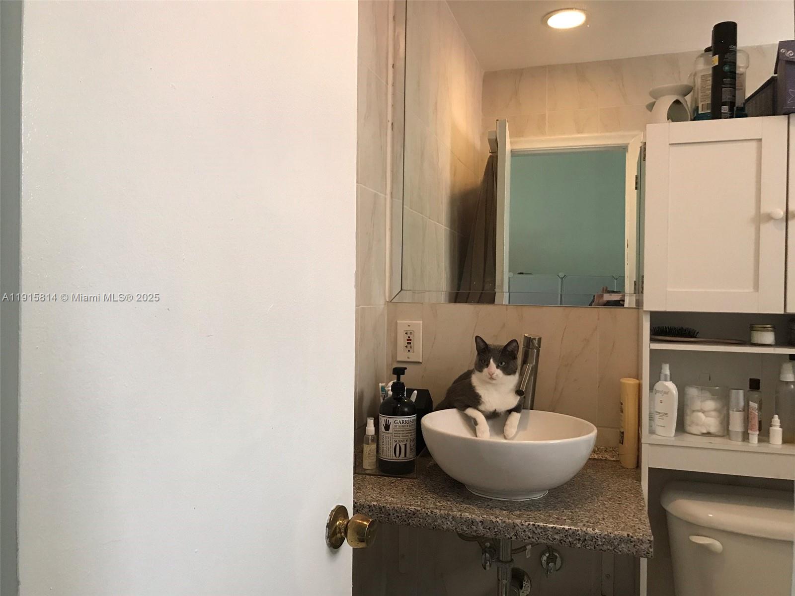 THE BELLAGIO CONDO - Residential Lease