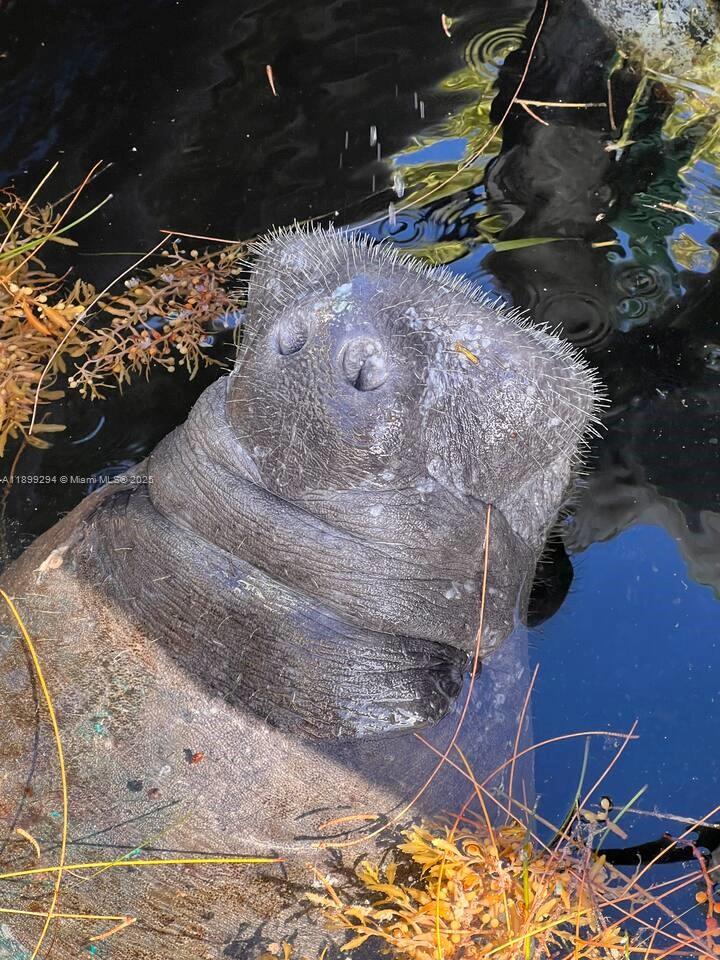 MANATEE BAY CLUB - Land