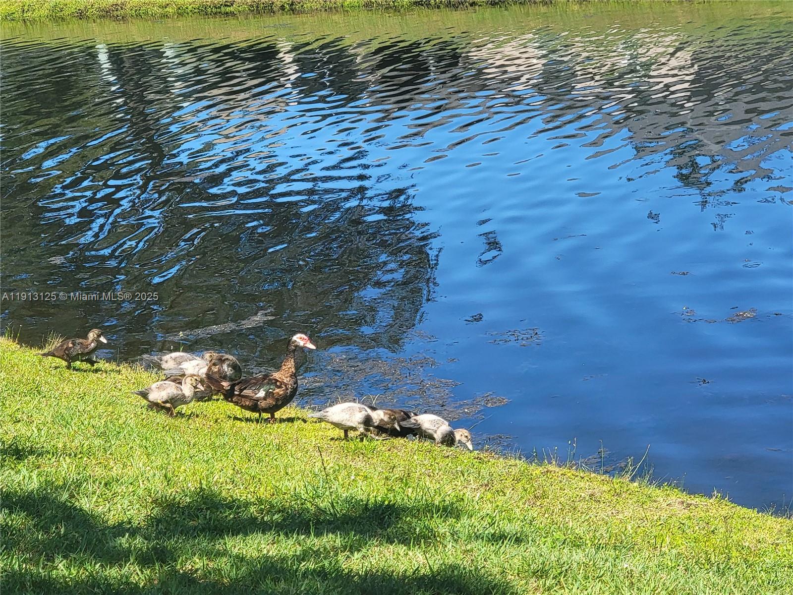 WATERFORD LAKES PHASE II - Residential