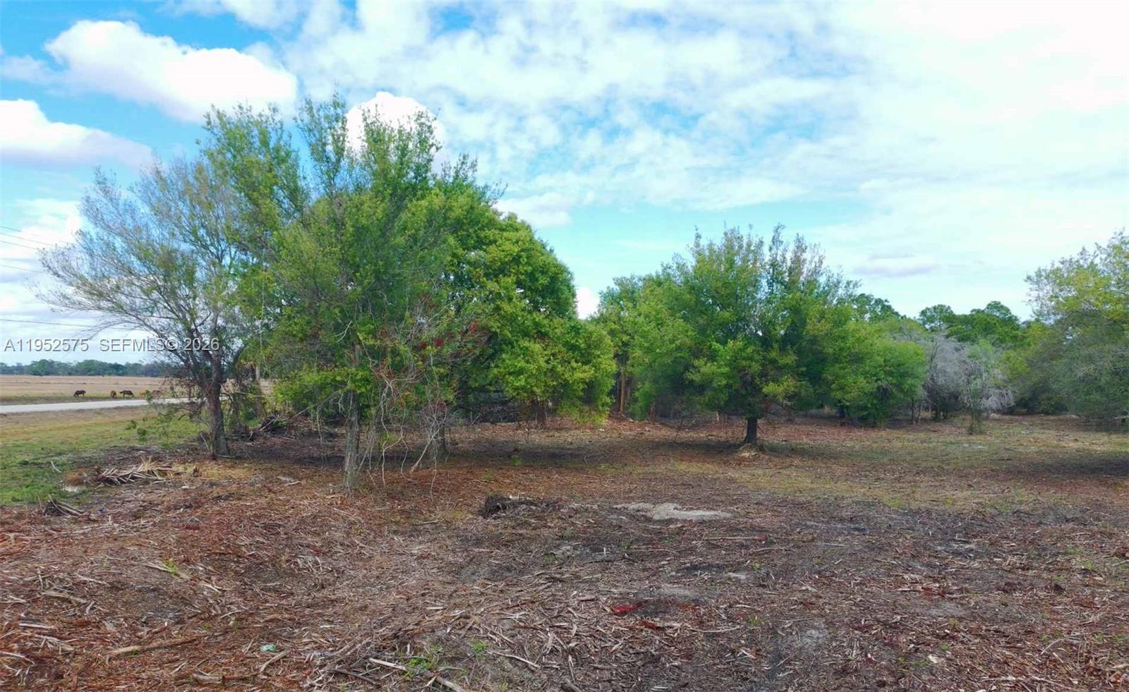 Montura Ranch - Land