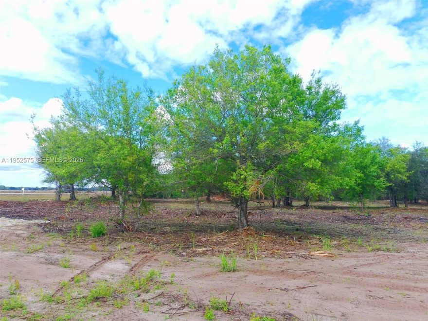 Exceptional 5-acre corner lot located in one of the most central and strategic areas of Montura Ranch, at the intersection of SR-833 and Hunting Club Road, the community's main thoroughfares. Currently zoned residential, it has high potential for rezoning to commercial use, especially given its frontage on SR-833, one of the streets with the greatest development potential in Montura.
The land is high, dry, and cleared, and features paved roads, a key characteristic for future projects. Finding a full five-acre lot in this location is extremely rare, making this a unique investment opportunity.
Its size, location, and potential make it ideal for multiple types of businesses, mixed-use developments, or long-term projects. This property offers great visibility, accessibility, and growth potential in an area where commercial opportunities are highly sought after.