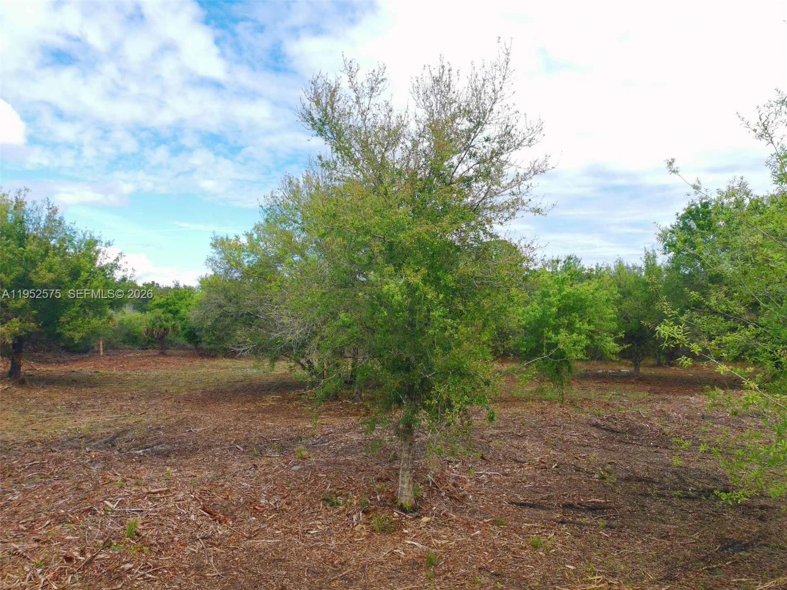 Montura Ranch - Land