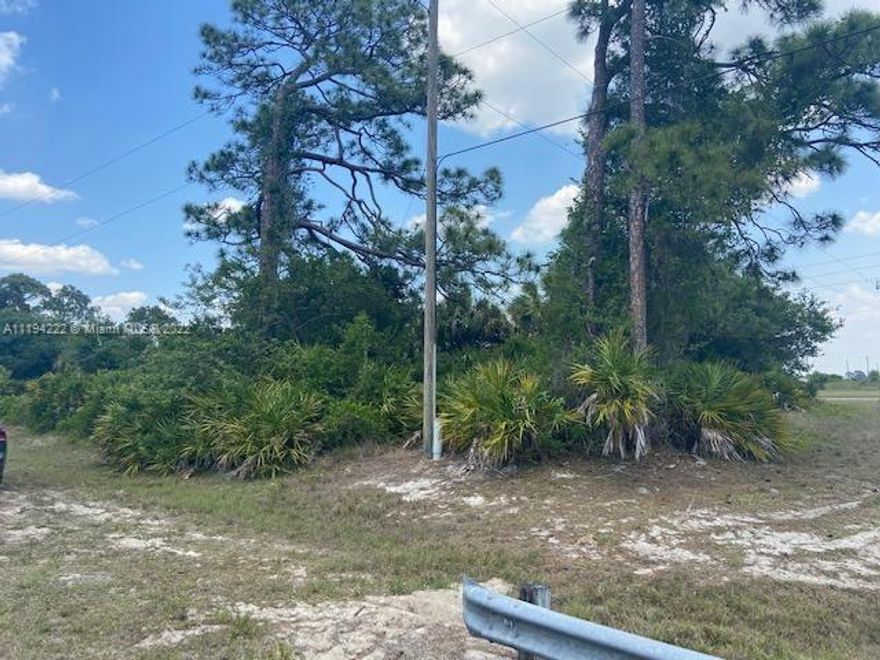Corner Lot with a pave road, ready to Build your Dream in a quarter of Acre....